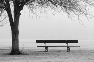 bench_in_a_misty_park